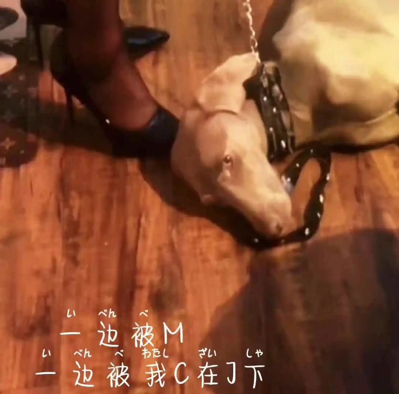 【西檬之家】西檬之家-字母圈Sp实践指南