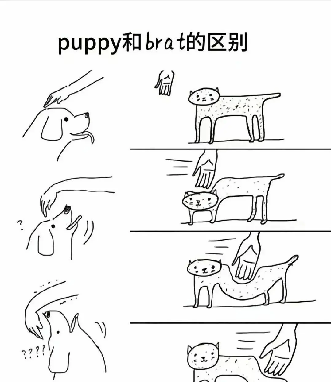 【西檬之家-字母圈的恋足癖解析：BDSM视角指南】