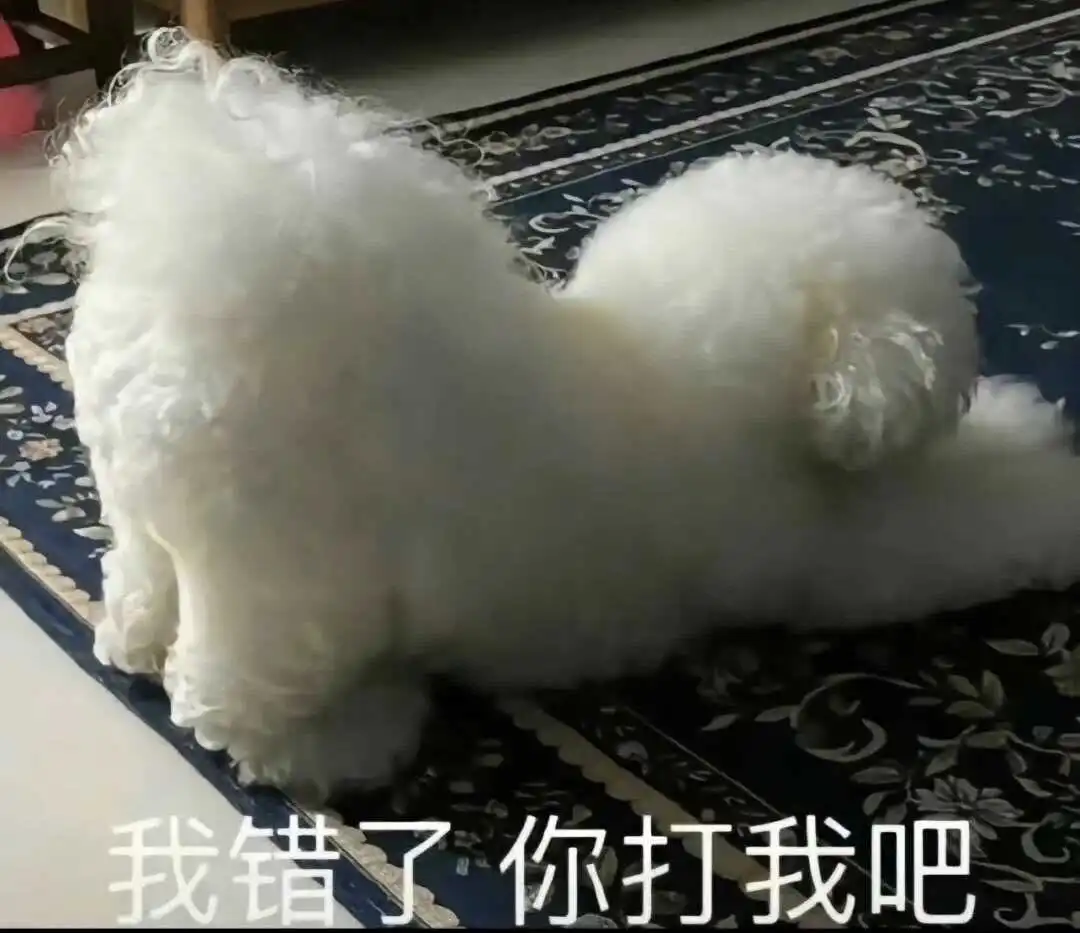 西檬之家-ddlg是什么？你的字母圈属性是什么？