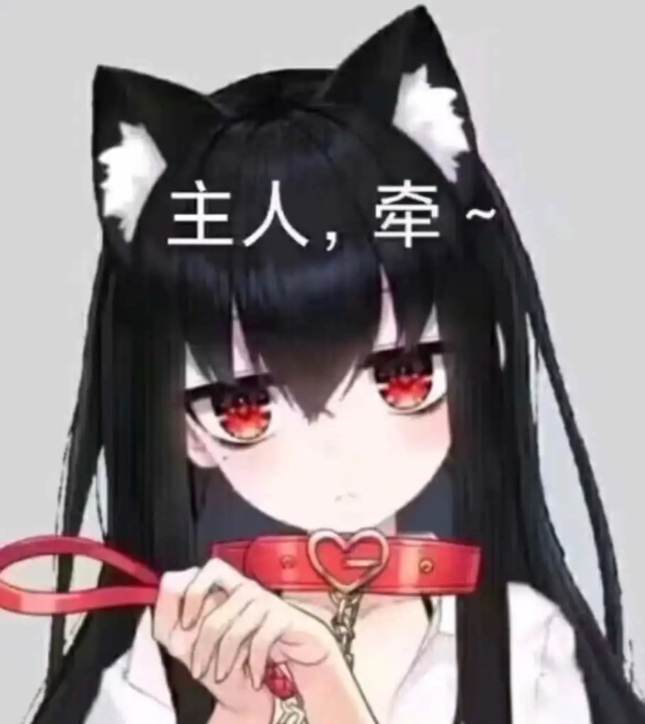 [西檬之家]字母圈K8猫系全解析