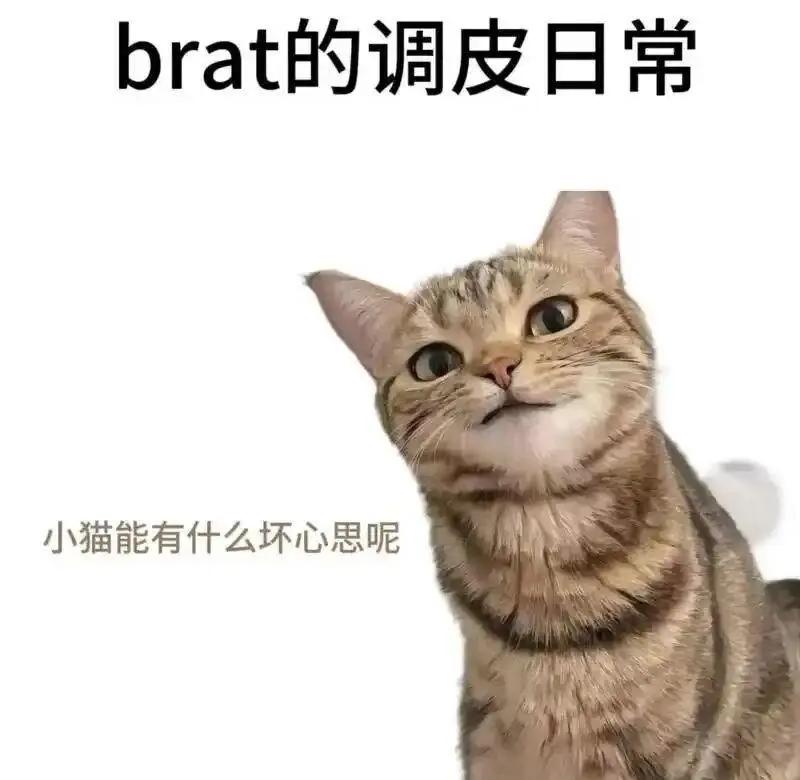 斯慕圈 - 微信图片_20251203212836_109_19