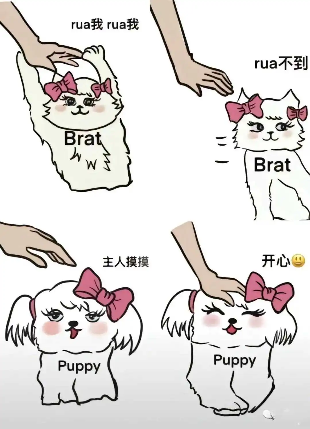 西檬之家-字母圈TK实践入门指南