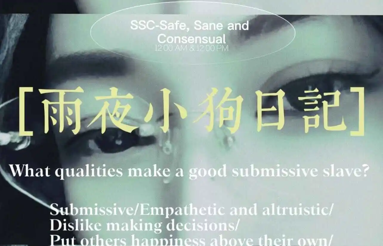 西檬之家-DT是什么？BDSM新人必知的互动技巧