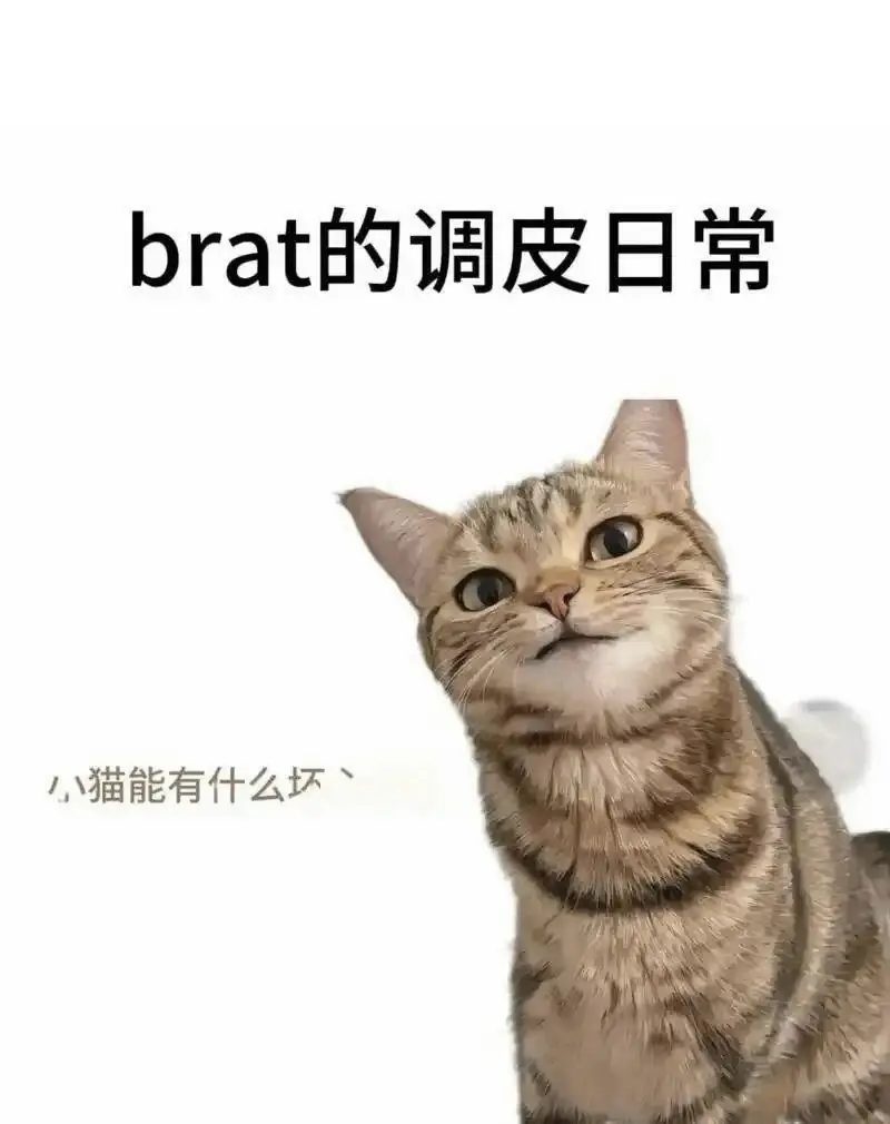 西檬之家-字母圈新人入门指南：BDSM基础知识全解析